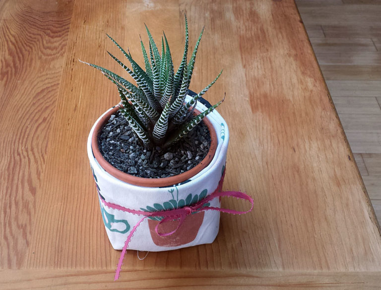 Plant gift wrapped with Windowsill tea towel by Lellobird
