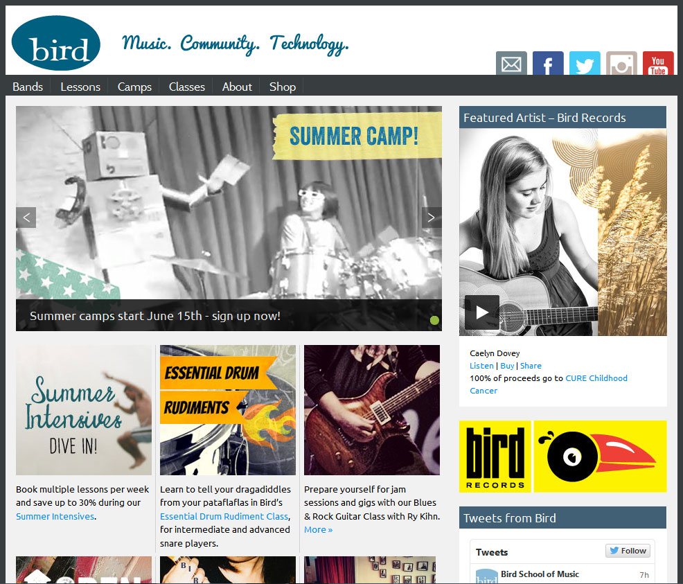 Website design for Bird School by Lellobird