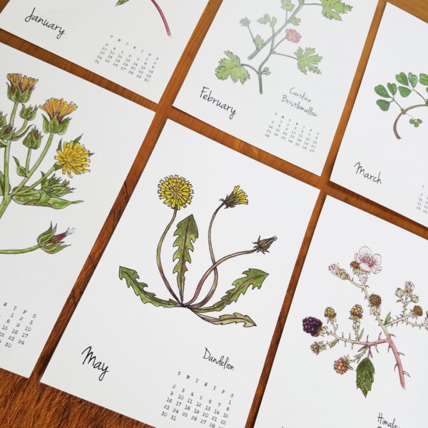 2021 Weeds & Wildflowers calendar by Lellobird