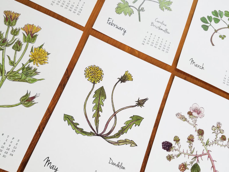 2021 Weeds & Wildflowers calendar by Lellobird