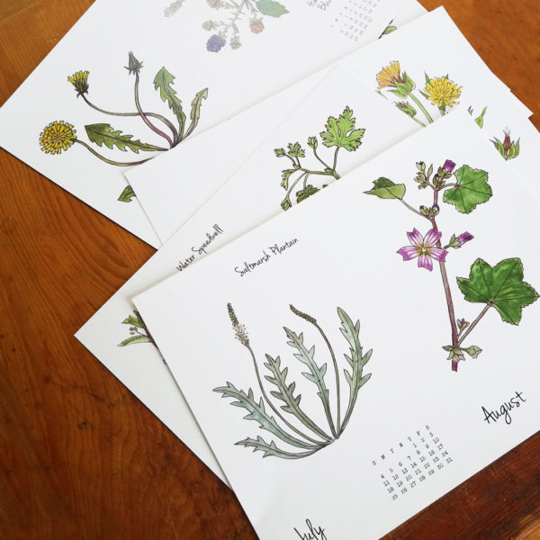 2021 Weeds & Wildflowers calendar by Lellobird
