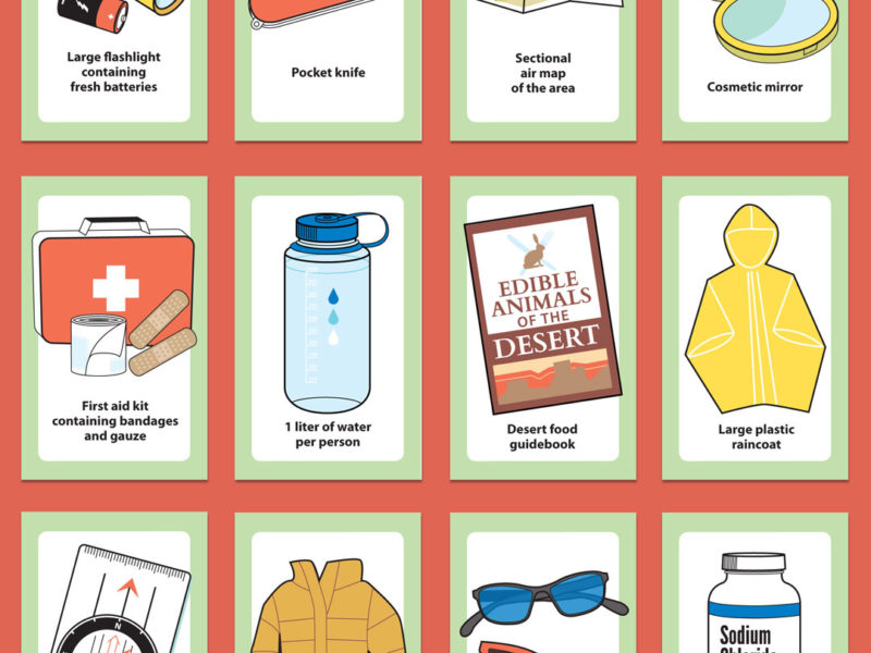 Survival Cards - Textbook illustration bu Jeni Paltiel