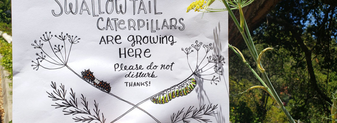 Swallowtail caterpillar sign by Lellobird