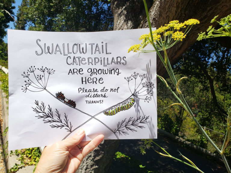 Swallowtail caterpillar sign by Lellobird