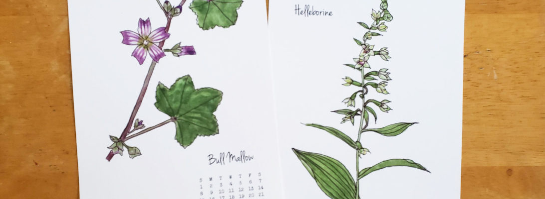 August and September 2022 calendar pages by Lellobird