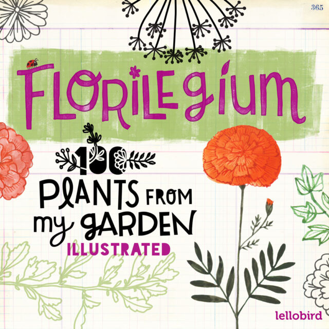 100 Day Project Florilegium Instagram promo