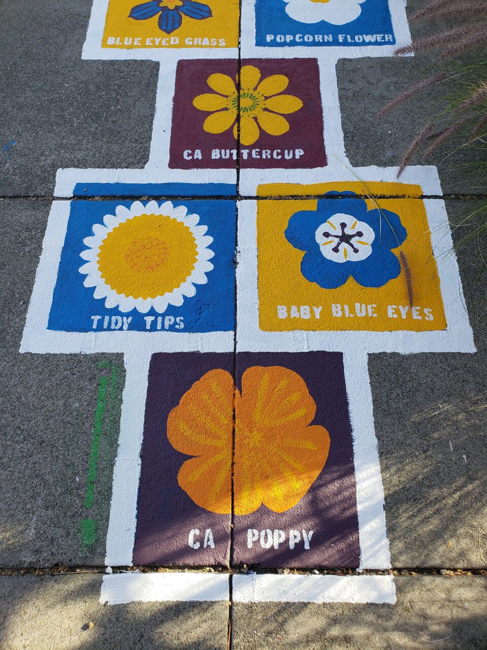 California wildflowers hopscotch by Lellobird