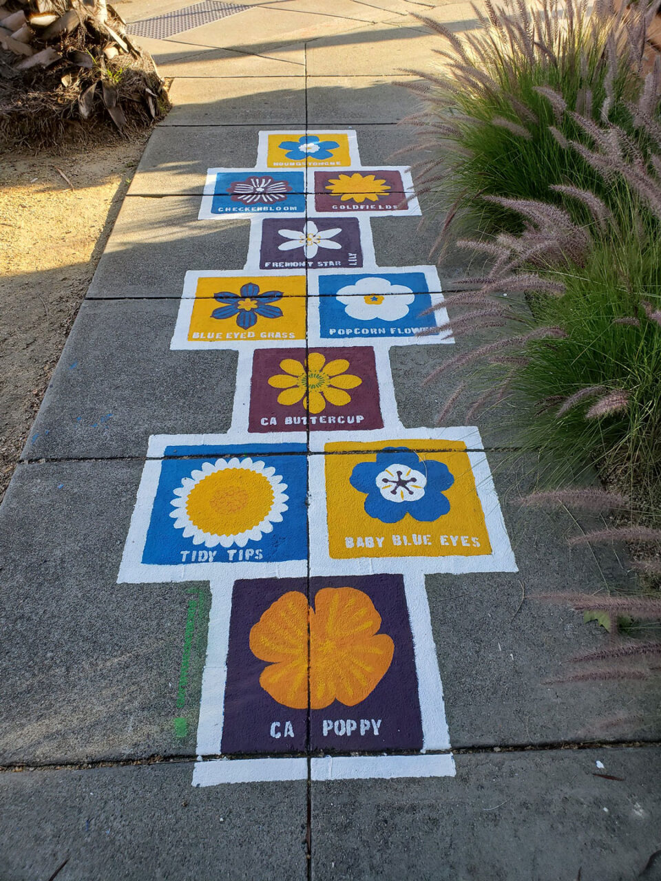 California wildflowers hopscotch by Lellobird